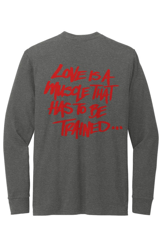 Perfect Blend CVC LS Tee