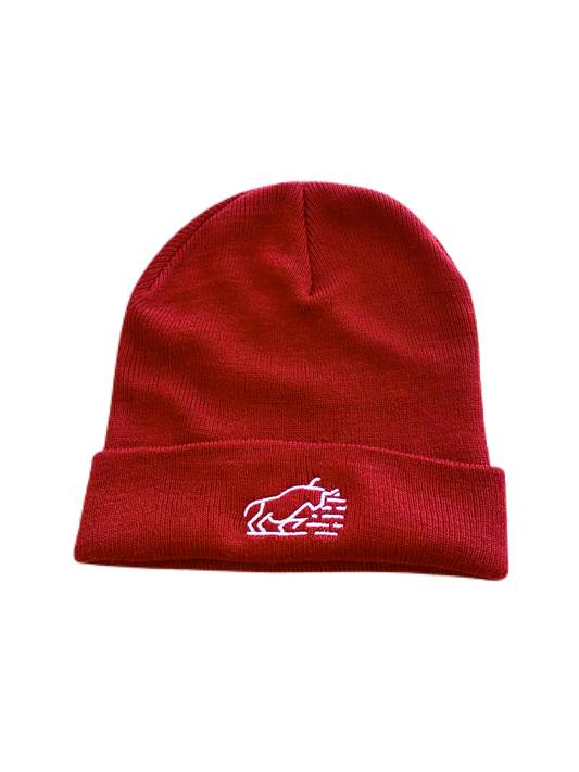 Playmaker Beanie